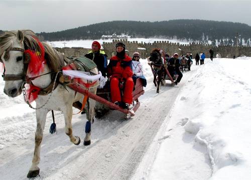 turkiye/kars/sarikamis/kayi-snow-otel-3708e047.jpg