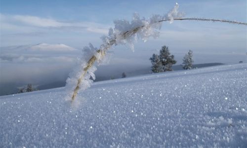 turkiye/kars/sarikamis/kayi-snow-otel-590fcf75.jpg