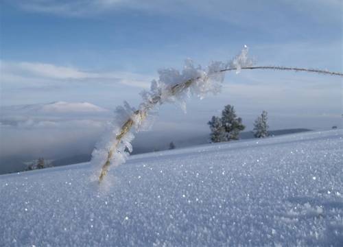 turkiye/kars/sarikamis/kayi-snow-otel-590fcf75.jpg