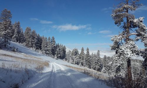 turkiye/kars/sarikamis/sarikamis-snowflake-dag-oteli-1e13c7be.jpg