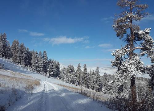 turkiye/kars/sarikamis/sarikamis-snowflake-dag-oteli-1e13c7be.jpg