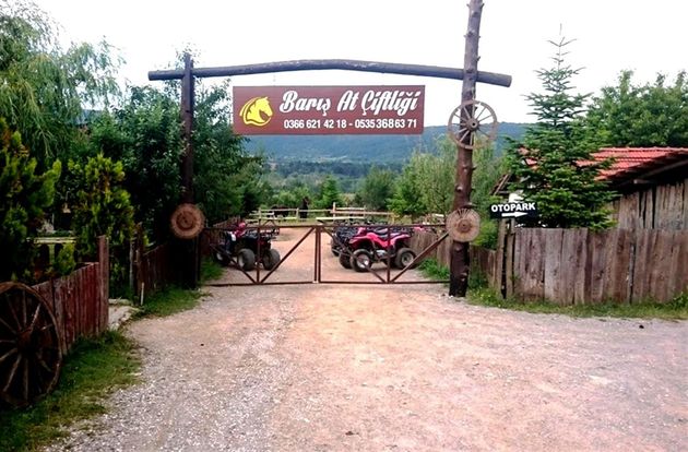 turkiye/kastamonu/daday/daday-baris-atl-cifligi-ed23f0bb.jpg