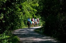 turkiye/kastamonu/daday/daday-baris-atli-turizm_df924cde.jpg
