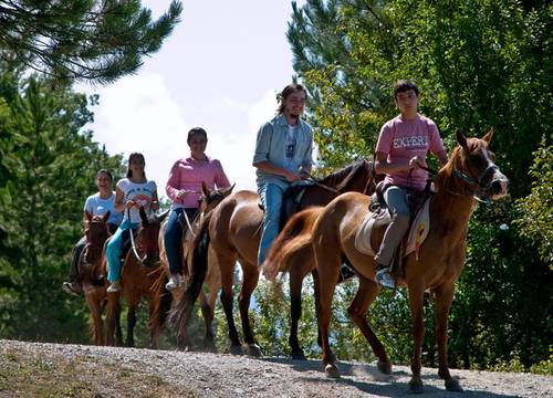 turkiye/kastamonu/daday/daday-baris-atli-turizm_e7bd53dd.jpg