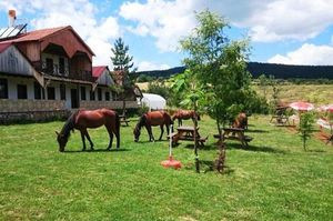 turkiye/kastamonu/daday/daday-baris-atli-turizm_fdaff91f.jpg