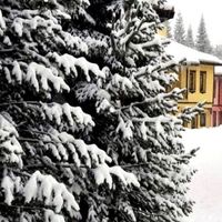 Jura Hotels Ilgaz Mountain Resort