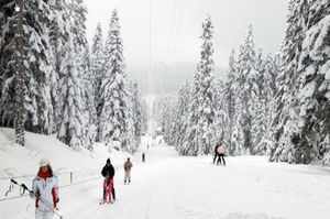 turkiye/kastamonu/ilgaz/ilgaz-mountain-resort-671106.jpg