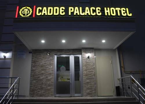 turkiye/kayseri/kocasinan/cadde-palace-hotel-672385407.JPG