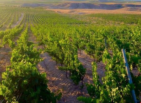 turkiye/kayseri/kocasinan/sunolus-vineyard-hotel_d2952f09.jpg