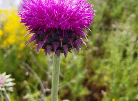 turkiye/kayseri/kocasinan/sunolus-vineyard-hotel_d2b0c0d6.jpg