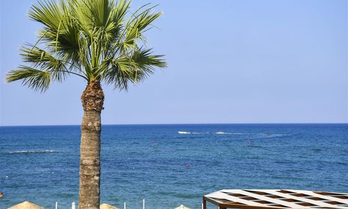 turkiye/kibris/gazimagusa/mimoza-beach-hotel-74390d66.jpg