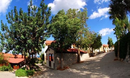 turkiye/kibris/girne/bellapais-monastery-village-150222_.jpg