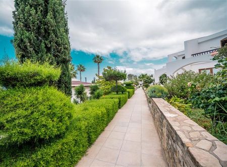 turkiye/kibris/girne/hotel-olive-tree-1516542757.jpg