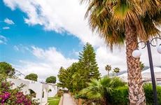 turkiye/kibris/girne/hotel-olive-tree-165952806.jpg