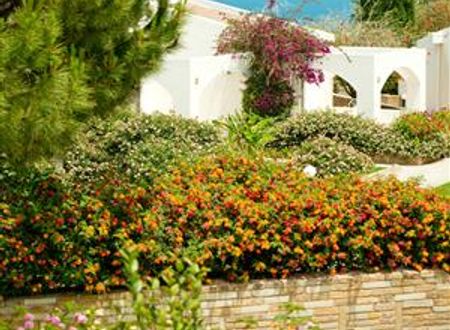 turkiye/kibris/girne/hotel-olive-tree-504181689.jpg