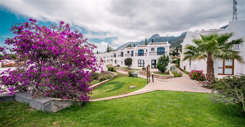 The Olive Tree Hotel -Girne, Kıbrıs | Otelz