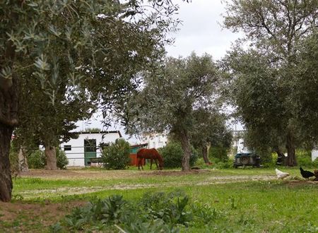 turkiye/kibris/girne/hotel-sempati-1257434589.jpg