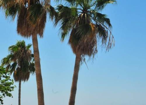 turkiye/kibris/girne/l.ahotel-resort-1216294.jpg
