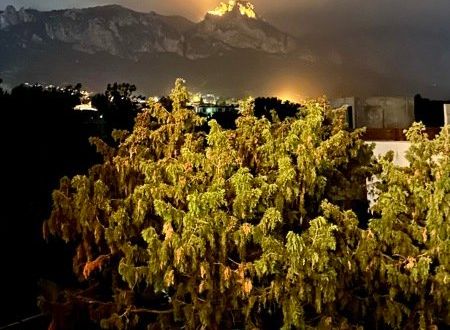 turkiye/kibris/girne/ng-homes-girne_41eb84ae.jpg