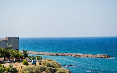 Olivia Palm Hotel · 3