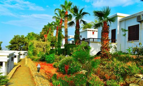 turkiye/kibris/girne/onar-village-f92603dd.png