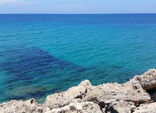 turkiye/kibris/girne/oscar-resort-hotel-5884-1578313588.jpg