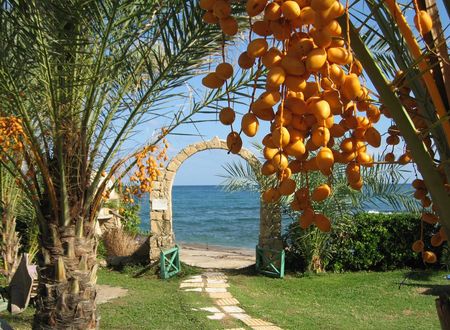 turkiye/kibris/girne/topset-hotel_133d8942.jpg