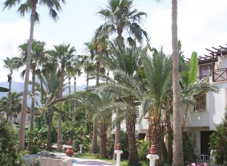 turkiye/kibris/girne/topset-hotel_139e505d.jpg