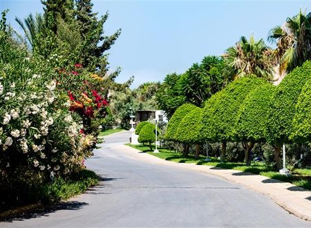 turkiye/kibris/girne/vuni-palace-hotel-6631-2050682851.jpg