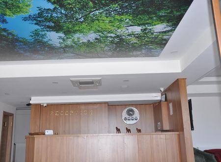 turkiye/kirklareli/demirkoy/longoz-hotel_1d587fd8.jpg