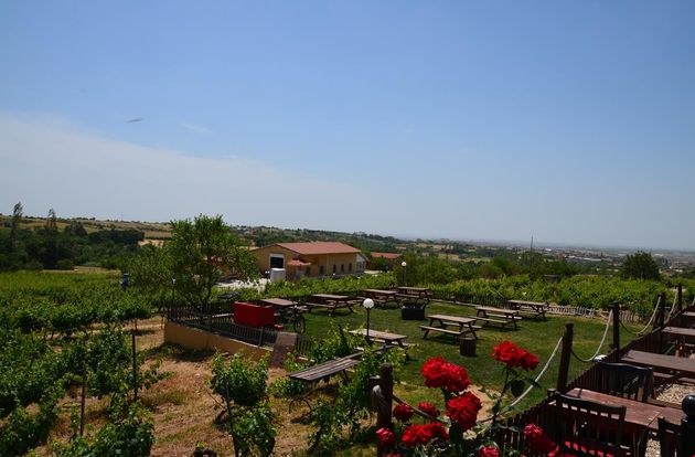 turkiye/kirklareli/kirklareli-merkez/dessera-vineyards-hotel_1fcc8a45.jpg