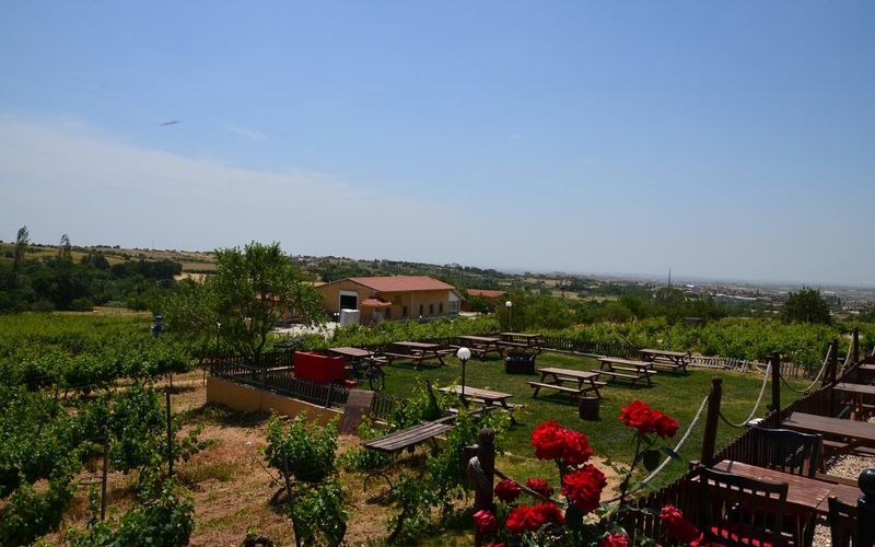 Dessera Vineyards Hotel · 1