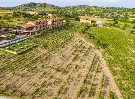 turkiye/kirklareli/kirklareli-merkez/dessera-vineyards-hotel_86bce56b.jpg