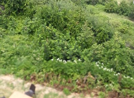 turkiye/kirklareli/vize/kiyikoy-zirve-pansiyon_9f2e6dbb.jpg