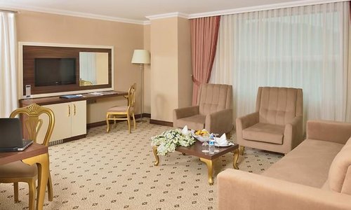 turkiye/kocaeli/basiskele/the-ness-thermal-spa-convention-hotel-1372014704.png