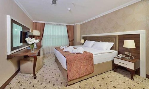 turkiye/kocaeli/basiskele/the-ness-thermal-spa-convention-hotel-343704543.png