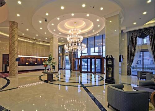 turkiye/kocaeli/basiskele/wellborn-hotel-luxury_5f97f764.jpg