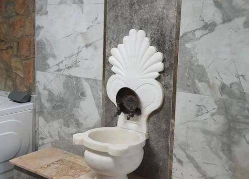 turkiye/kocaeli/gebze/doga-sara-butik-otel_58ac3ac8.jpg