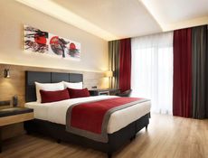 1 King Bed Room