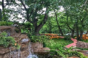 turkiye/kocaeli/gebze/whatsappimage20210617at13.55.051_881x76818575f38fdf94615ad8f2a901e83c746.jpg