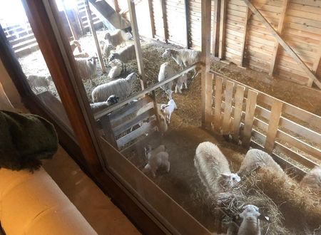 turkiye/kocaeli/izmit/farge-organic-farm-guesthouse_4debb31b.jpg