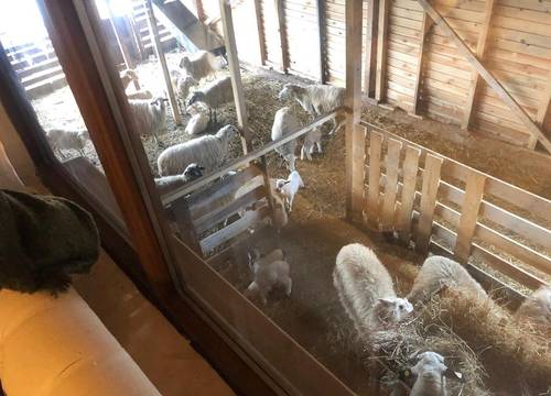 turkiye/kocaeli/izmit/farge-organic-farm-guesthouse_4debb31b.jpg