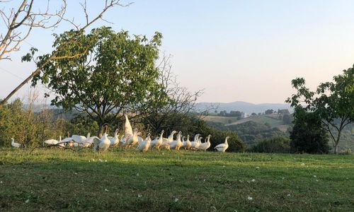 turkiye/kocaeli/izmit/farge-organic-farm-guesthouse_a770868b.jpg