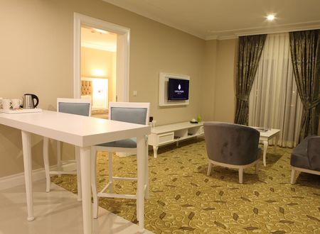 turkiye/kocaeli/izmit/luxor-garden-hotel_d637d07c.jpg