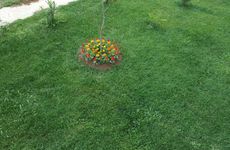 turkiye/kocaeli/kandira/kalpe-houses-tatil-koyu_44d73ac3.jpeg