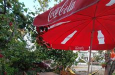 turkiye/kocaeli/kandira/sardunya-konaklama_bd67747b.jpg
