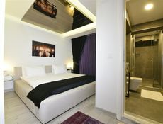Ammonite Room