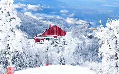 The Green Park Kartepe Resort · 3