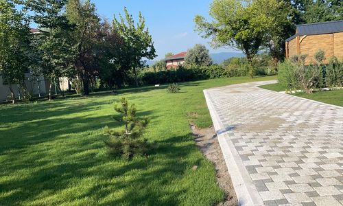 turkiye/kocaeli/kartepe/tiny-moco_8fcb2fc1.jpg