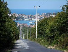 Camera Standard Vista Foresta Blocco A